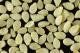 Is It Safe To Eat Sesame Seed During Pregnancy?